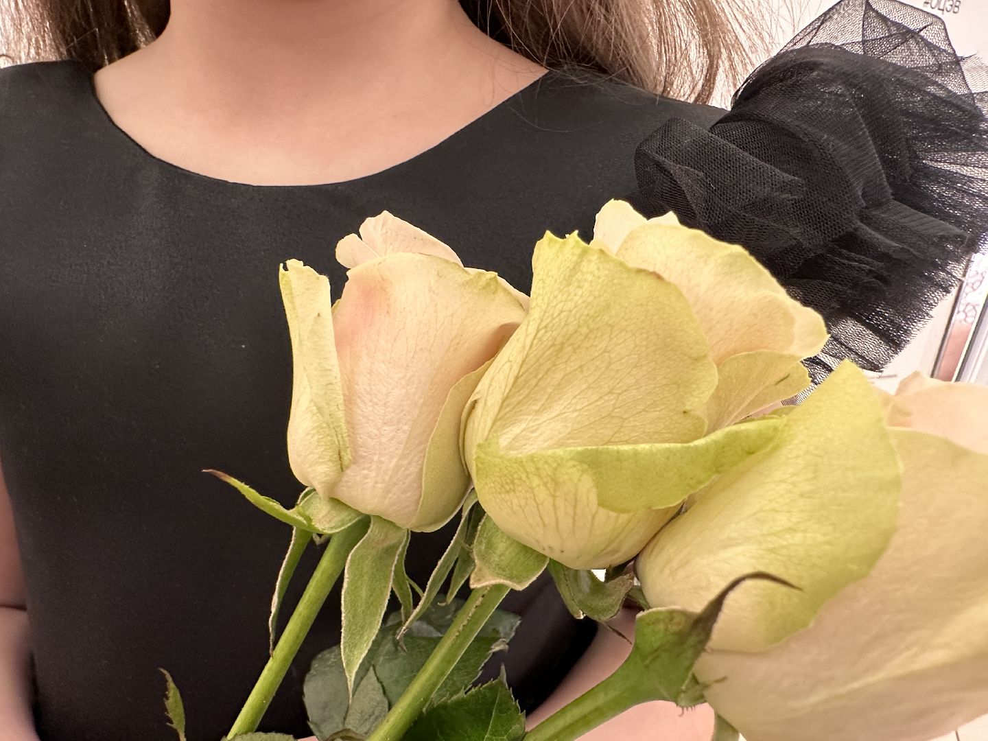 Музыкальная мозаика, Арфа, Юные таланты,