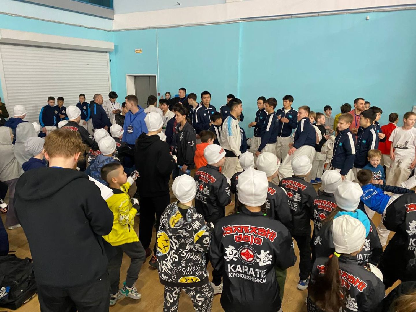 чехов, спорт, карате, первенство, турнир, подмосковье, чемпион,