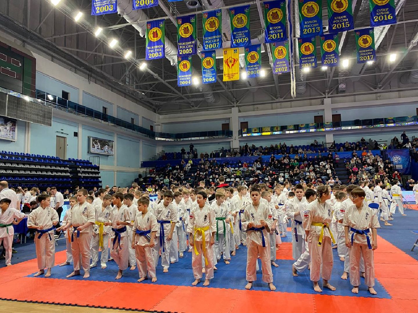 чехов, спорт, карате, первенство, турнир, подмосковье, чемпион,