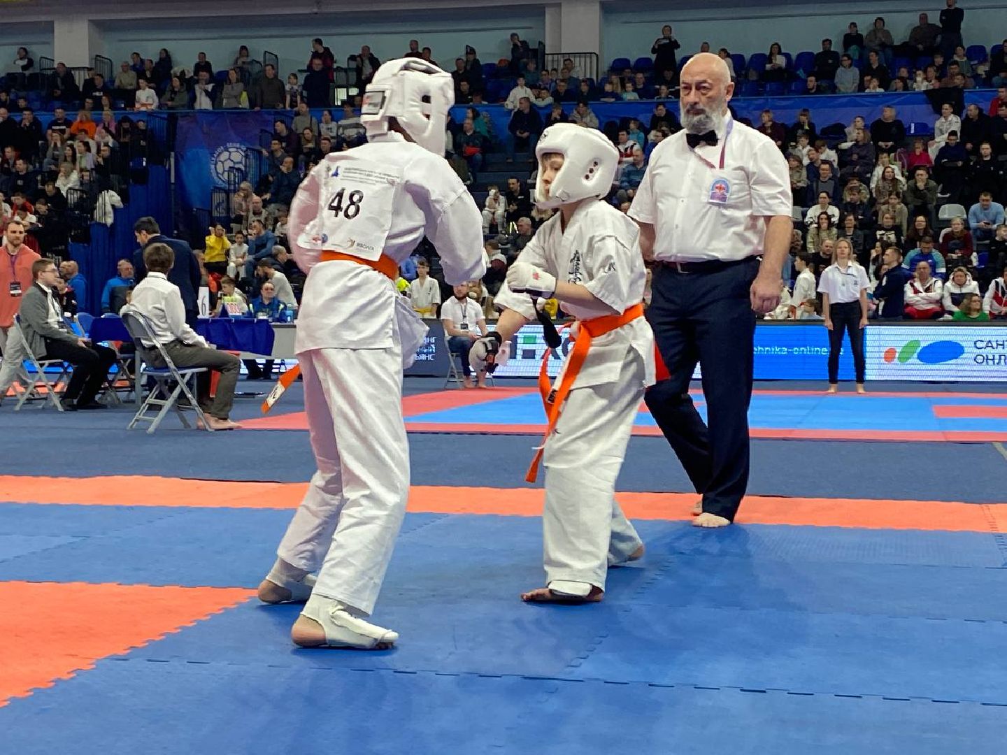 чехов, спорт, карате, первенство, турнир, подмосковье, чемпион,
