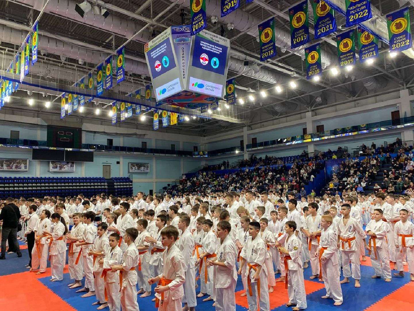 чехов, спорт, карате, первенство, турнир, подмосковье, чемпион,