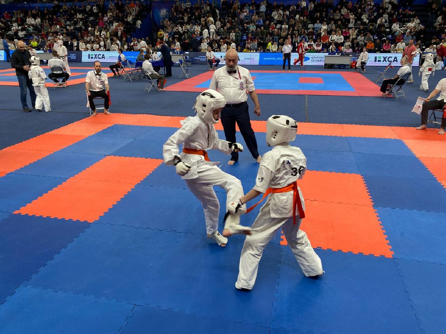 чехов, спорт, карате, первенство, турнир, подмосковье, чемпион,