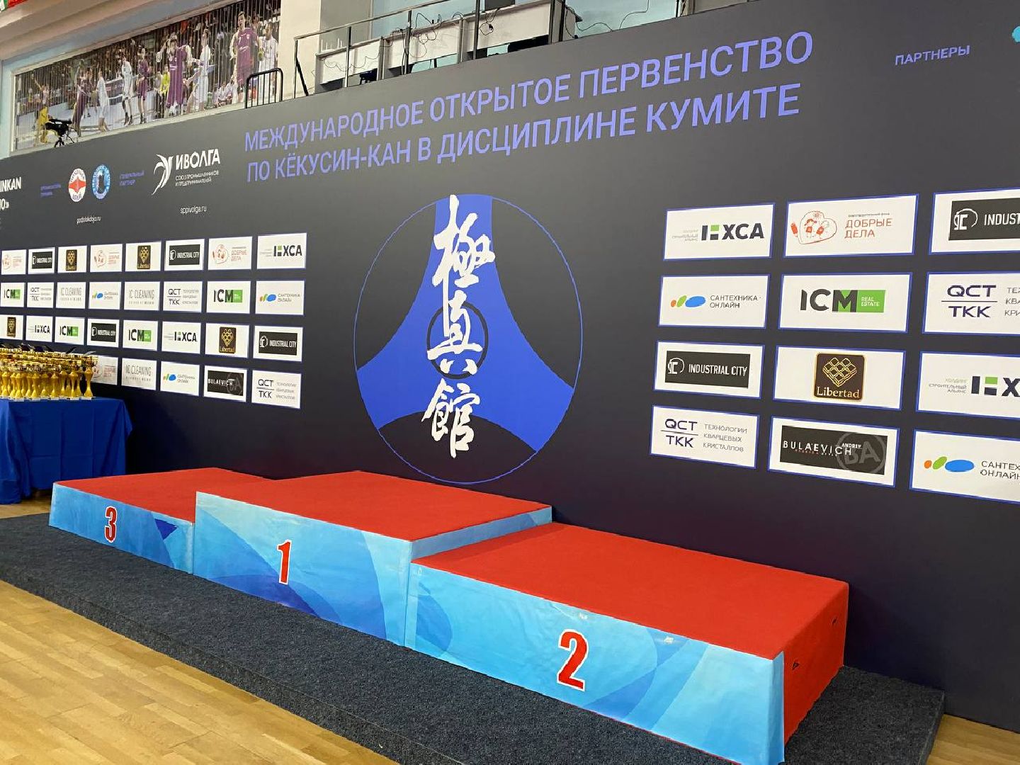 чехов, спорт, карате, первенство, турнир, подмосковье, чемпион,