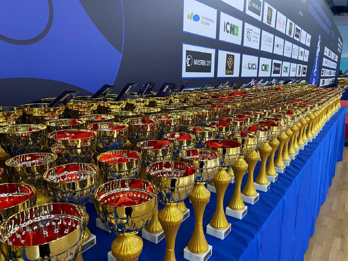 чехов, спорт, карате, первенство, турнир, подмосковье, чемпион,