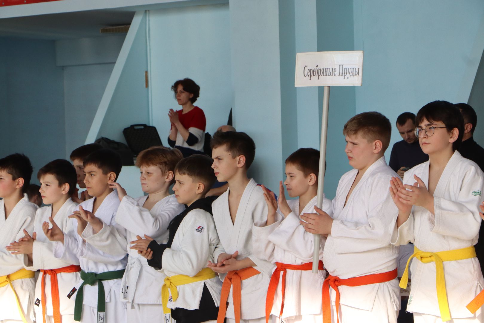 Серебряные Пруды, Межрегиональный турнир по дзюдо памяти Чуйкова, спорт,