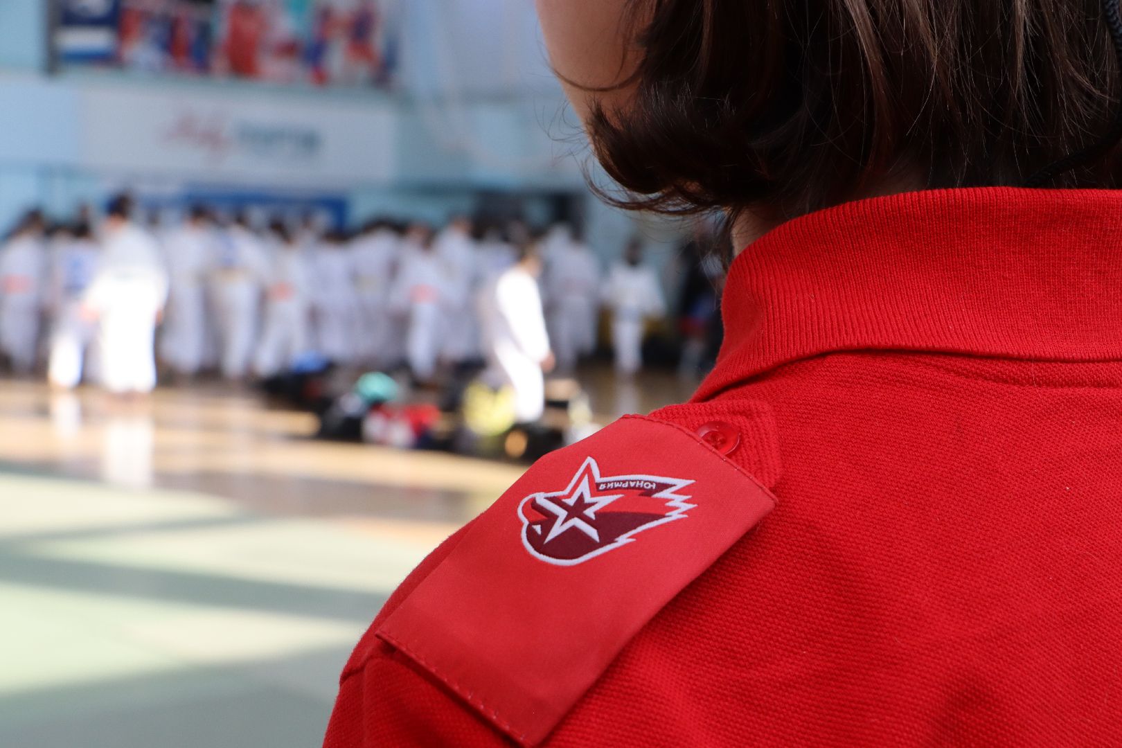 Серебряные Пруды, Межрегиональный турнир по дзюдо памяти Чуйкова, спорт,