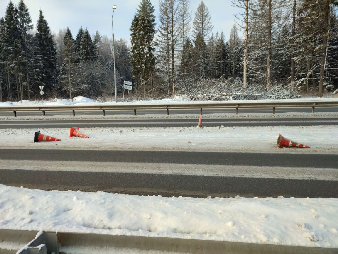 Звенигород, общество