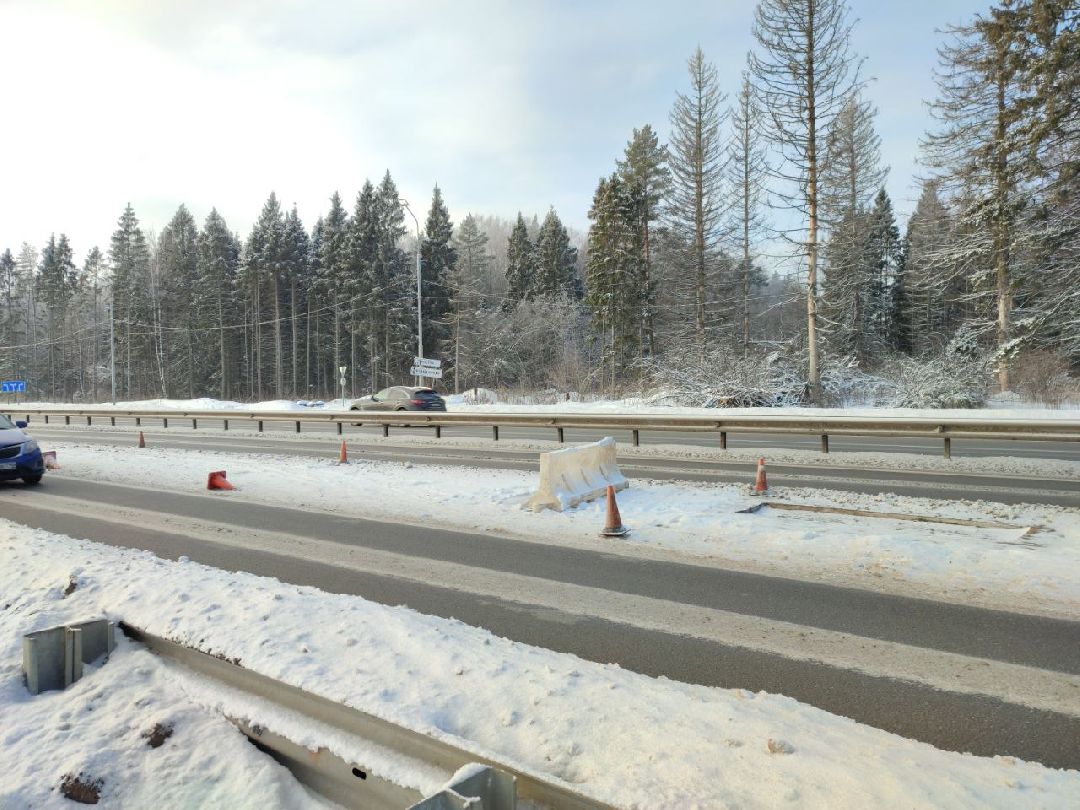 Звенигород, общество