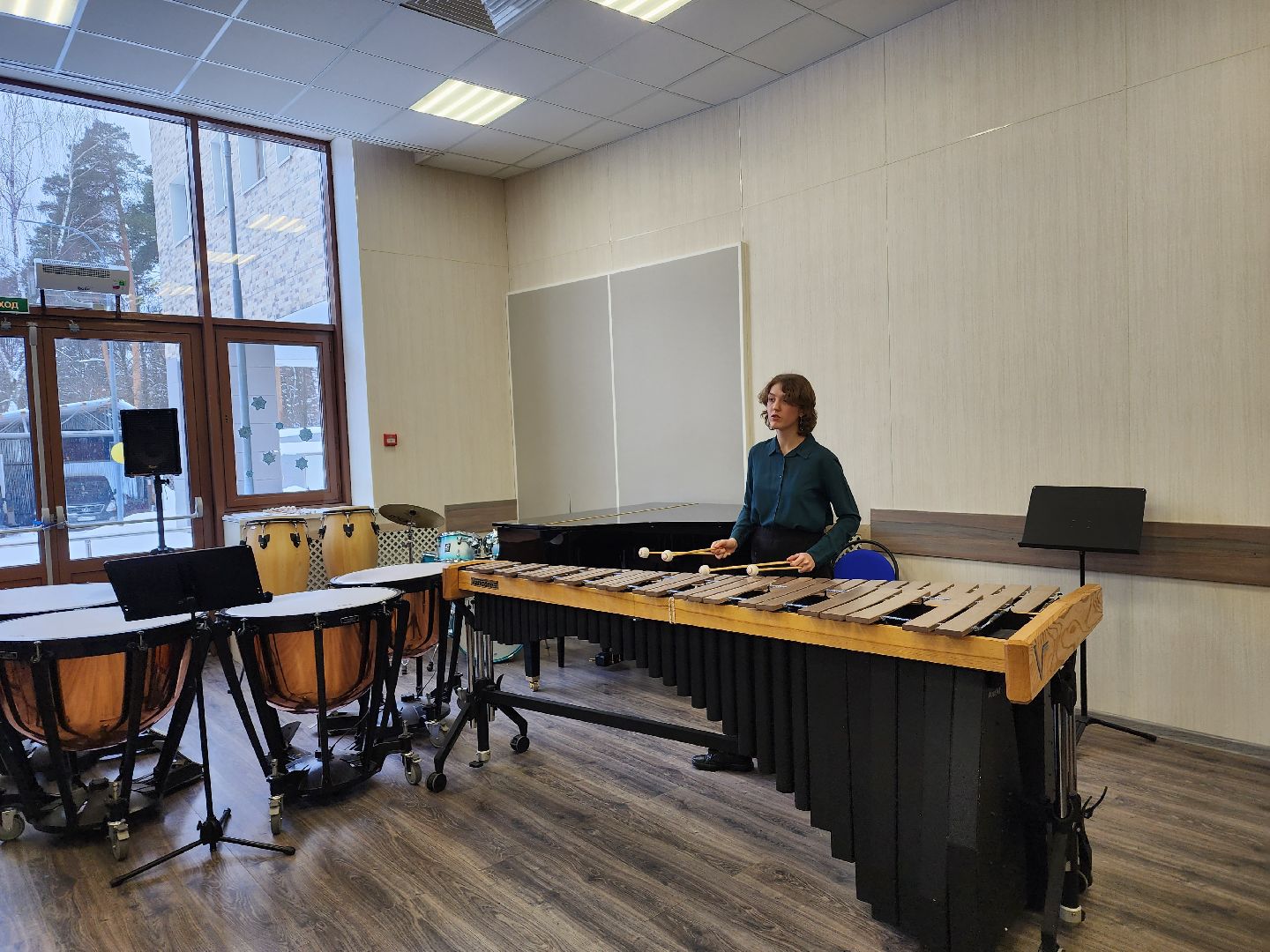 пушкино, музыкальный колледж, музыкальные инструменты, мастер-класс, знаменитости, музыкант,