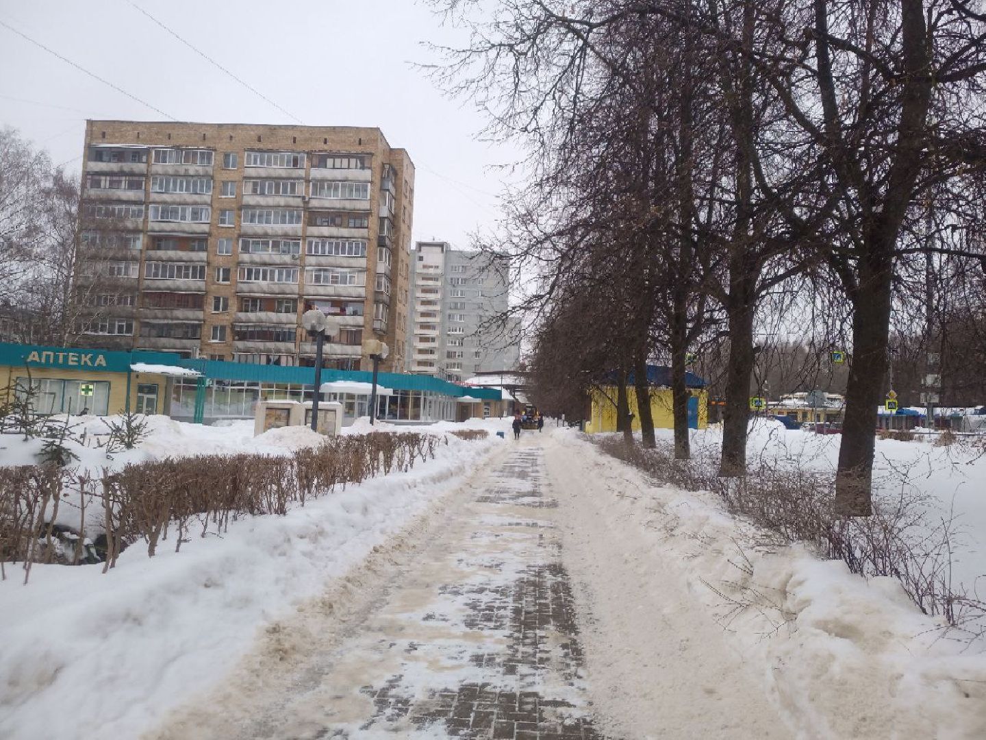 пущино, гололед, погода, гололед, подмосковье, дождь,