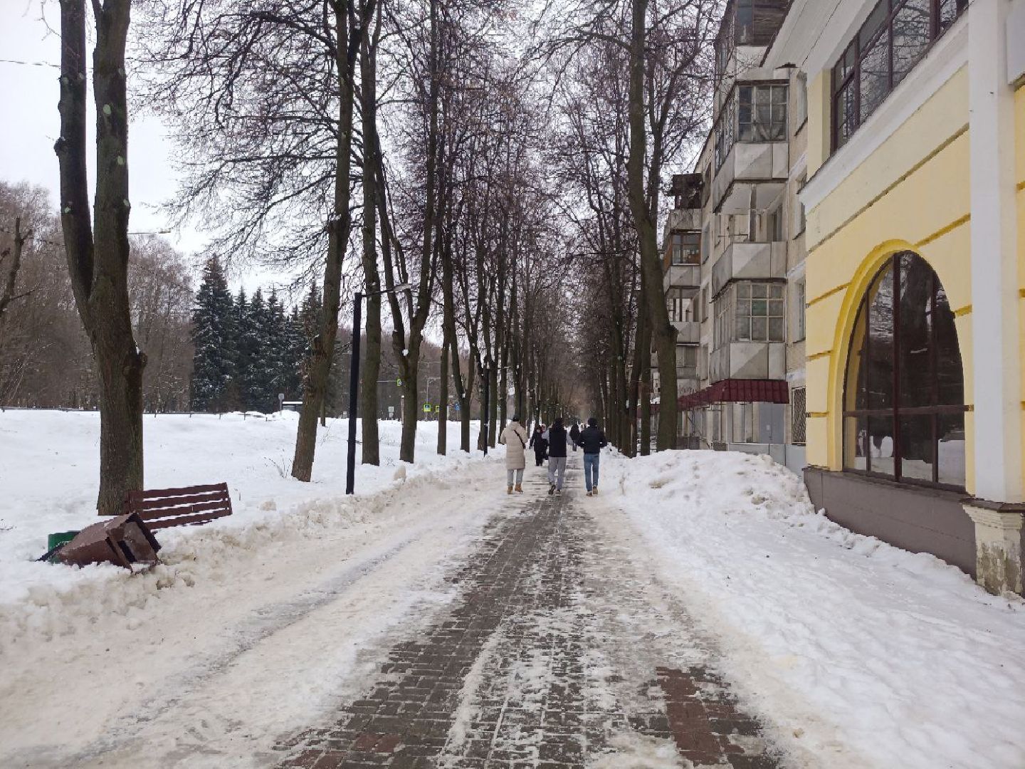 пущино, гололед, погода, гололед, подмосковье, дождь,