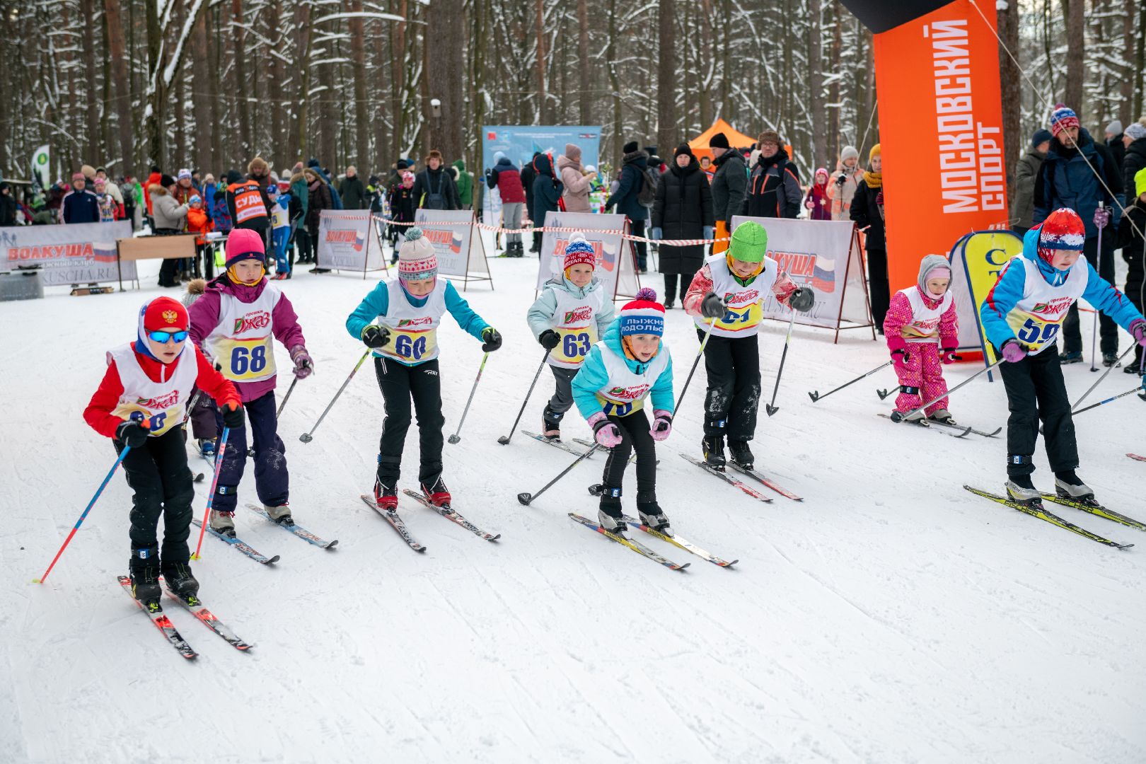 лыткарино, спорт, лыжи, лыжная трасса,