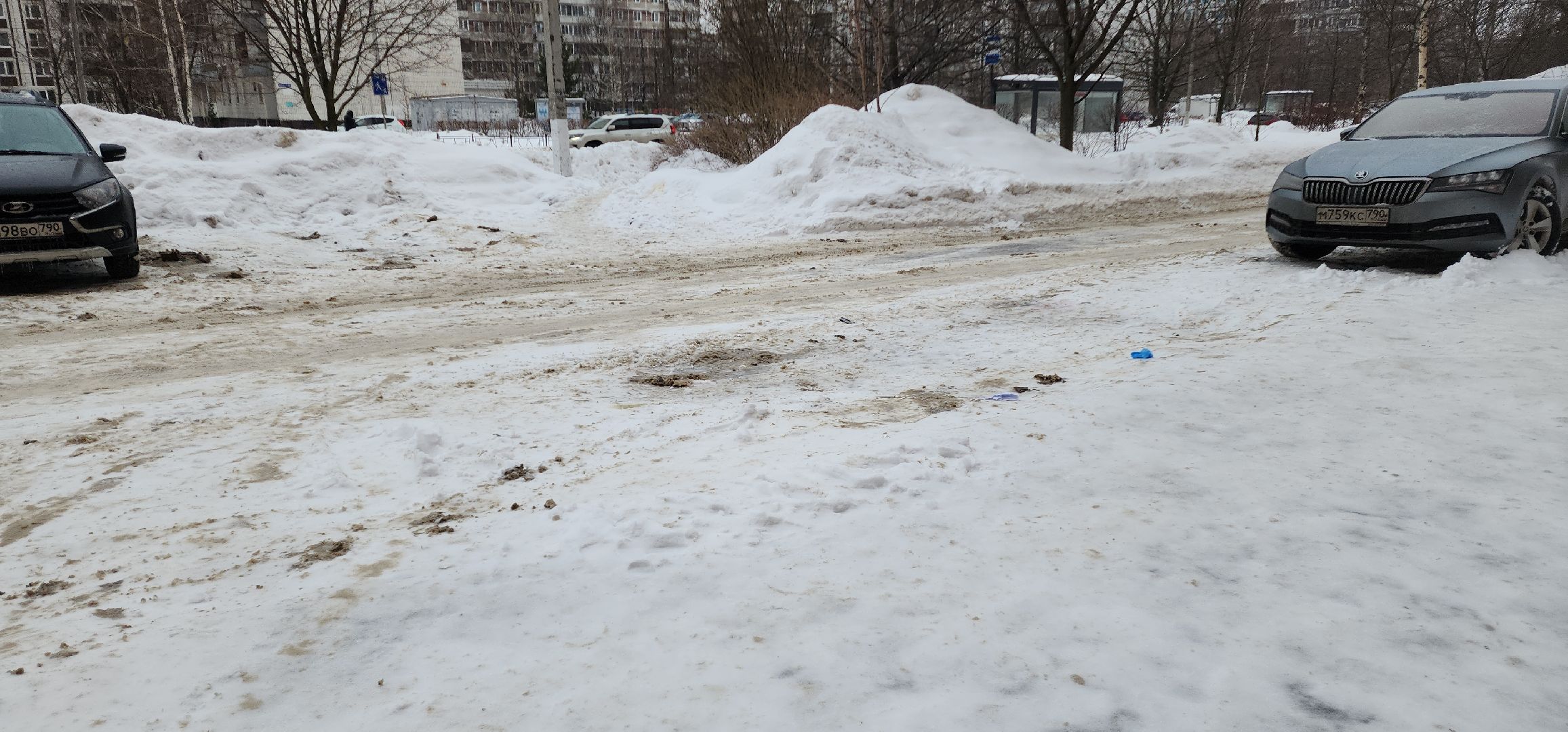 электросталь, мой город, непогода, ледяной дождь, зима 2024, гибдд, госавтоинспекция, безопасность дорожного движения, безопасность на дорогах,