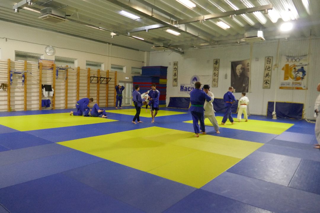 Спорт, дзюдо, победа, турнир