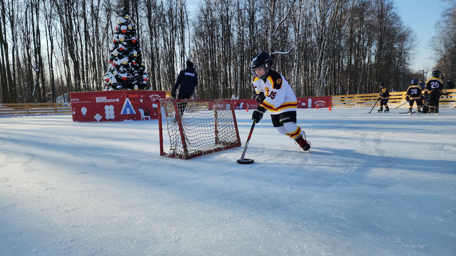 электросталь, электросталь спортивная, мой город, жители города, спорт в подмосковье, спорт подмосковья, фигурное катание, хоккей, хоккей в парке, хоккейный сезон, день спорта,