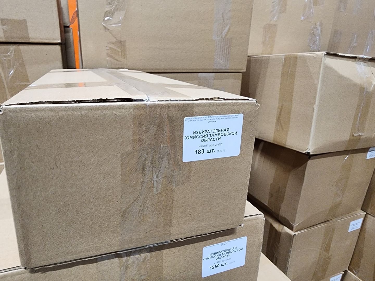 красноармейск, г.о. пушкинский, производство, выборы 2024,