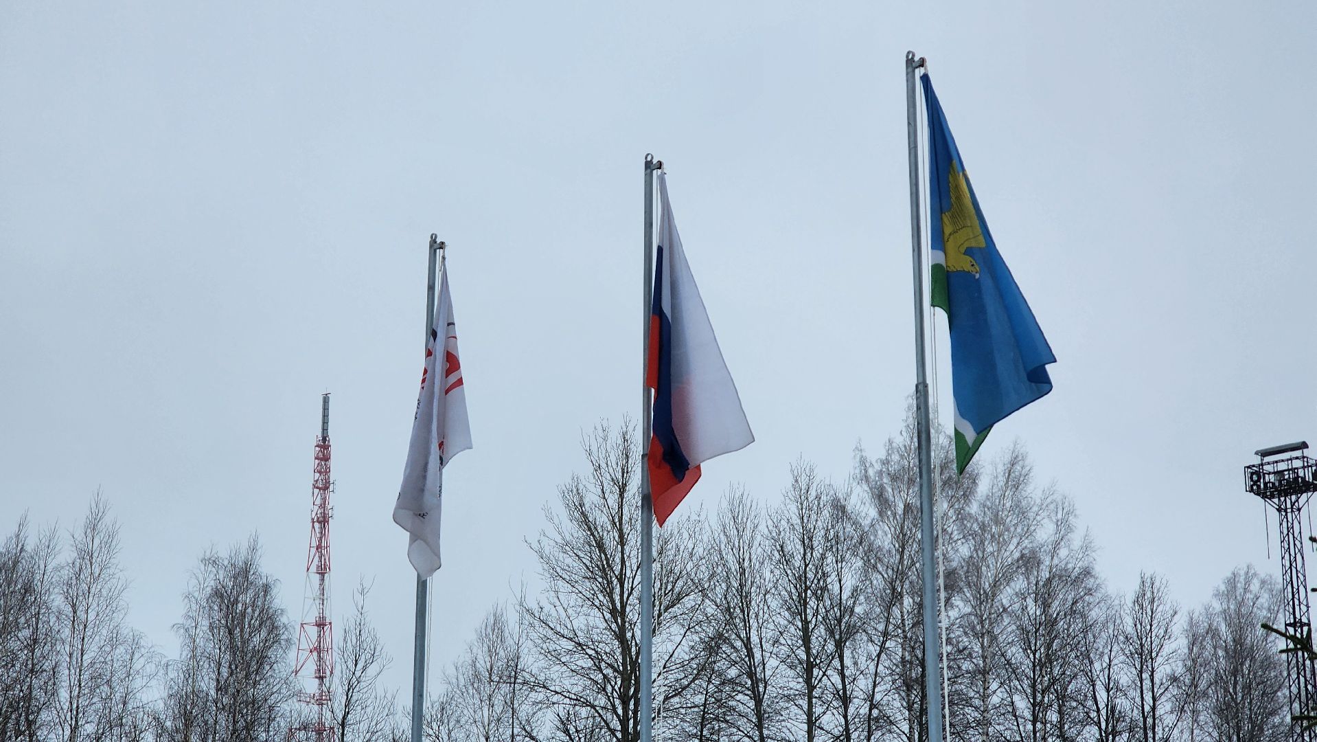 ступино, экономика ступино, земля за 1 рубль ступино,