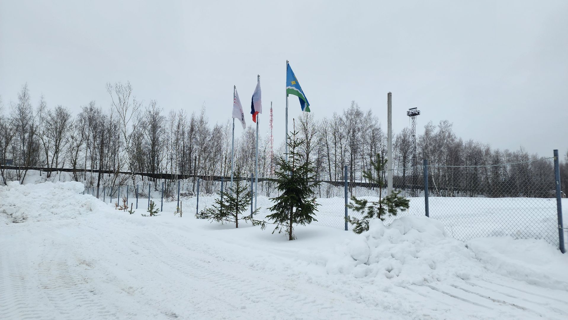 ступино, экономика ступино, земля за 1 рубль ступино,