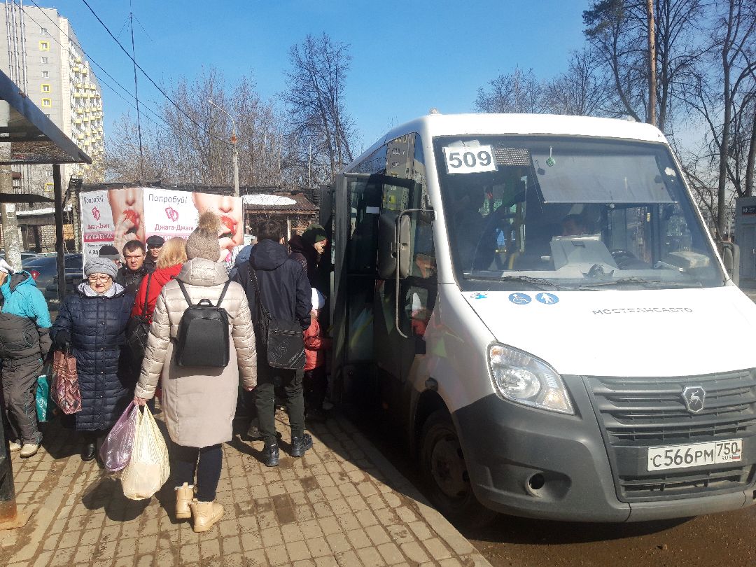 автобусы, путешестия,