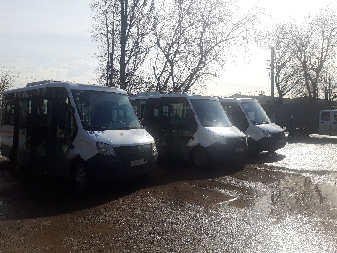 автобусы, путешестия,