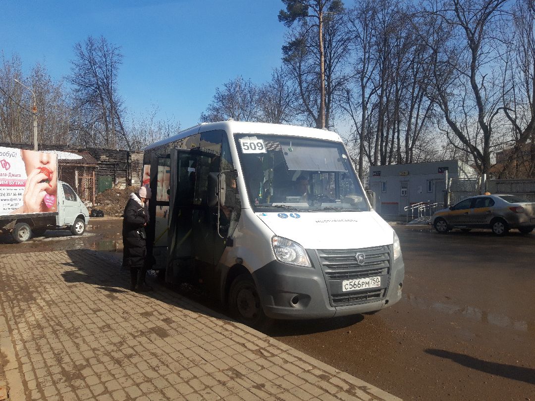 автобусы, путешестия,