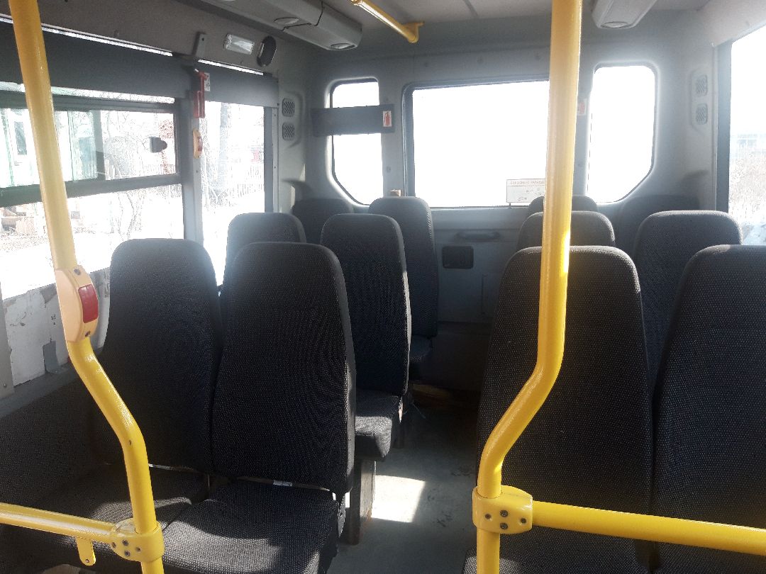 автобусы, путешестия,