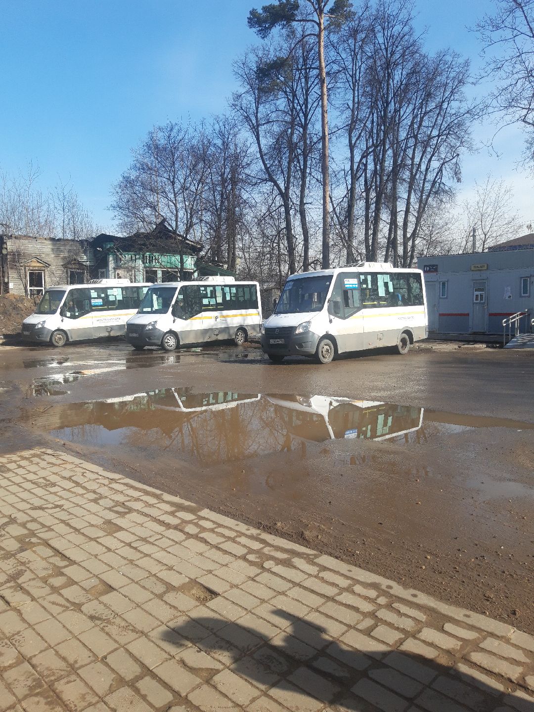 автобусы, путешестия,