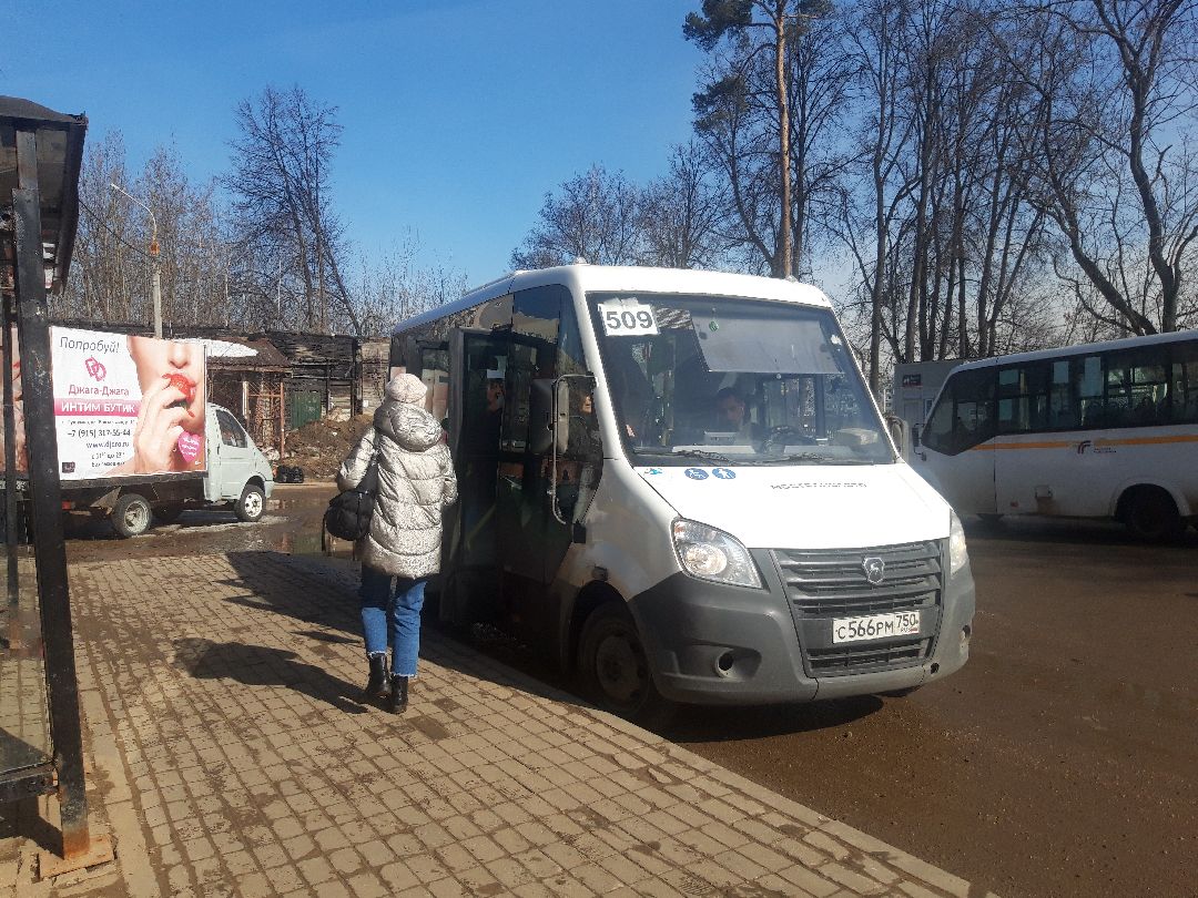 автобусы, путешестия,