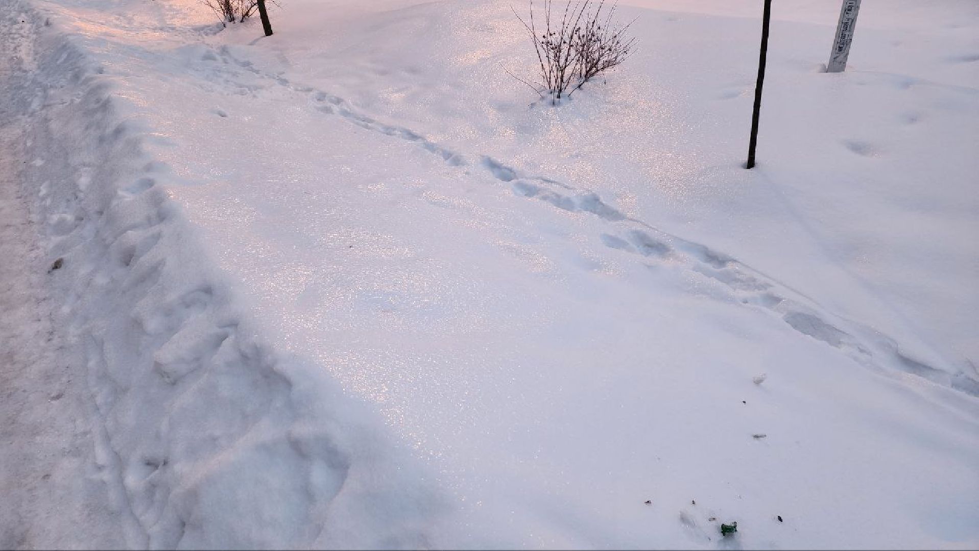 гололед, гололедица, ледяной дождь, мбу городское хозяйство, Никитин,