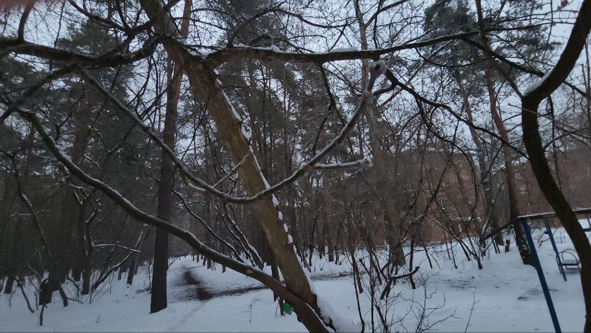 гололед, гололедица, ледяной дождь, мбу городское хозяйство, Никитин,