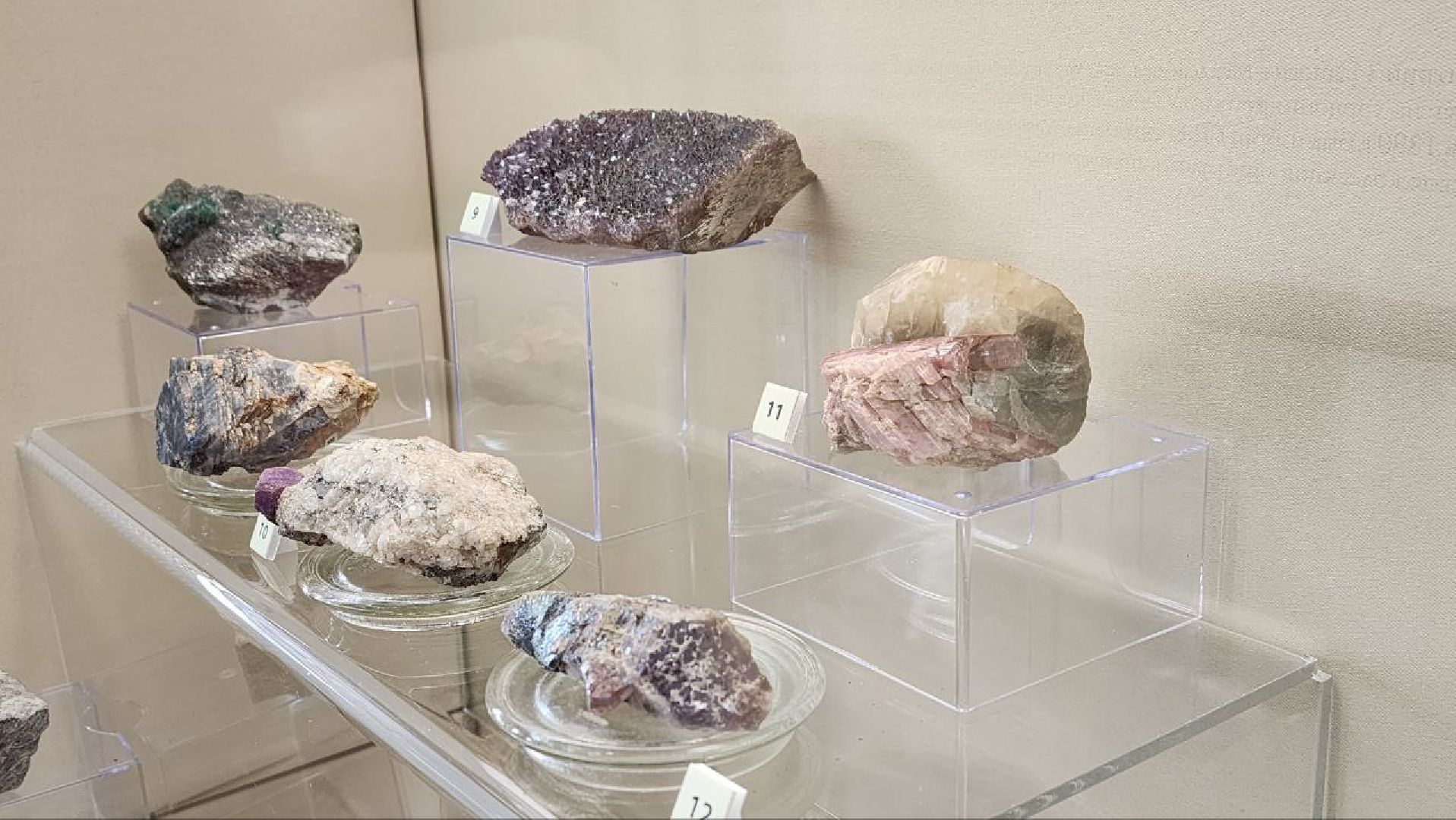 выставка, культура, клин,