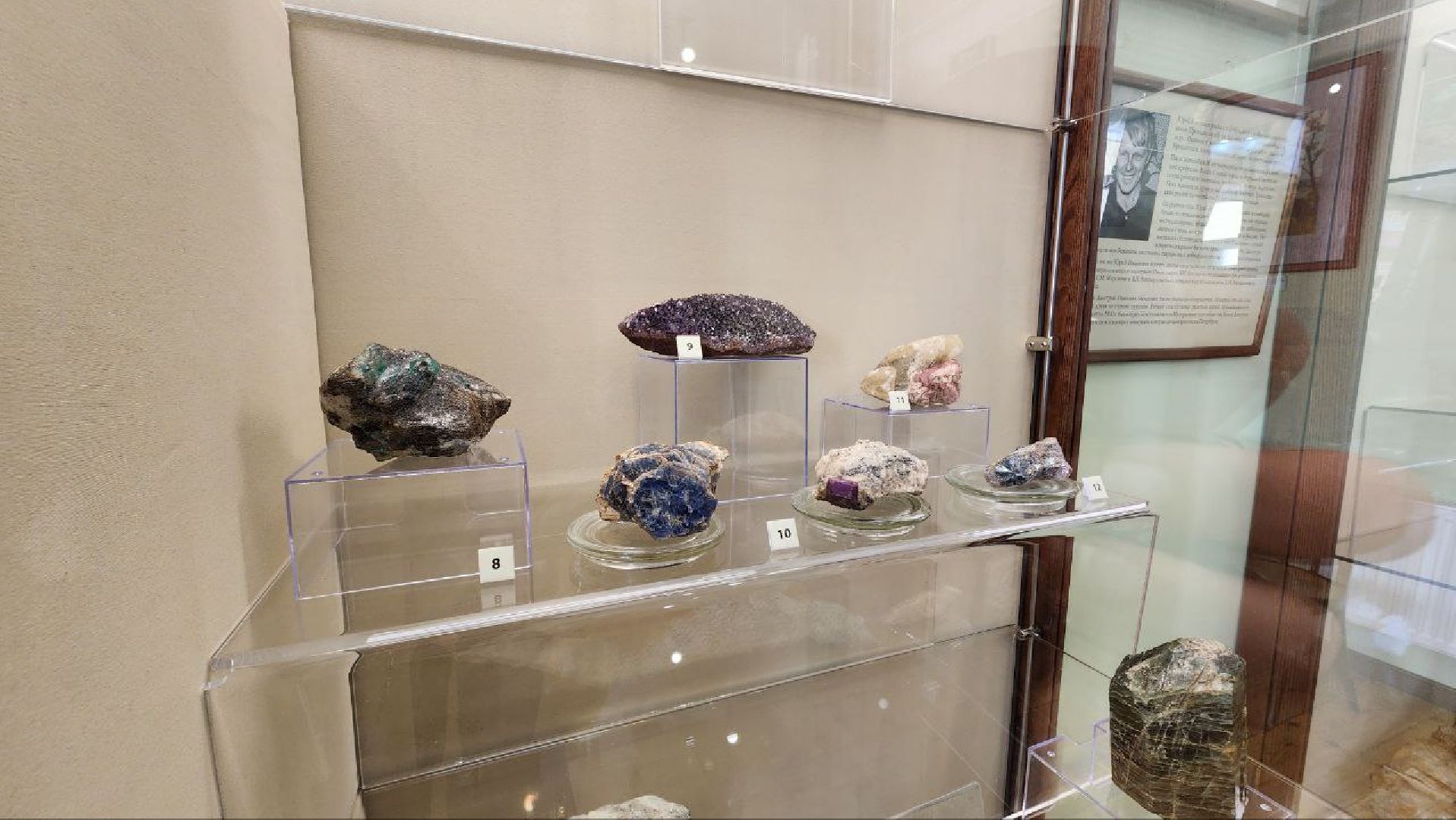 выставка, культура, клин,