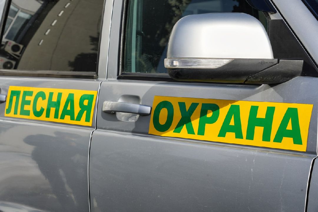 Сергиев Посад, Сергиево-Посадский городской округ, МЧС, Пожароопасный сезон, Мособллес, Лесная охрана