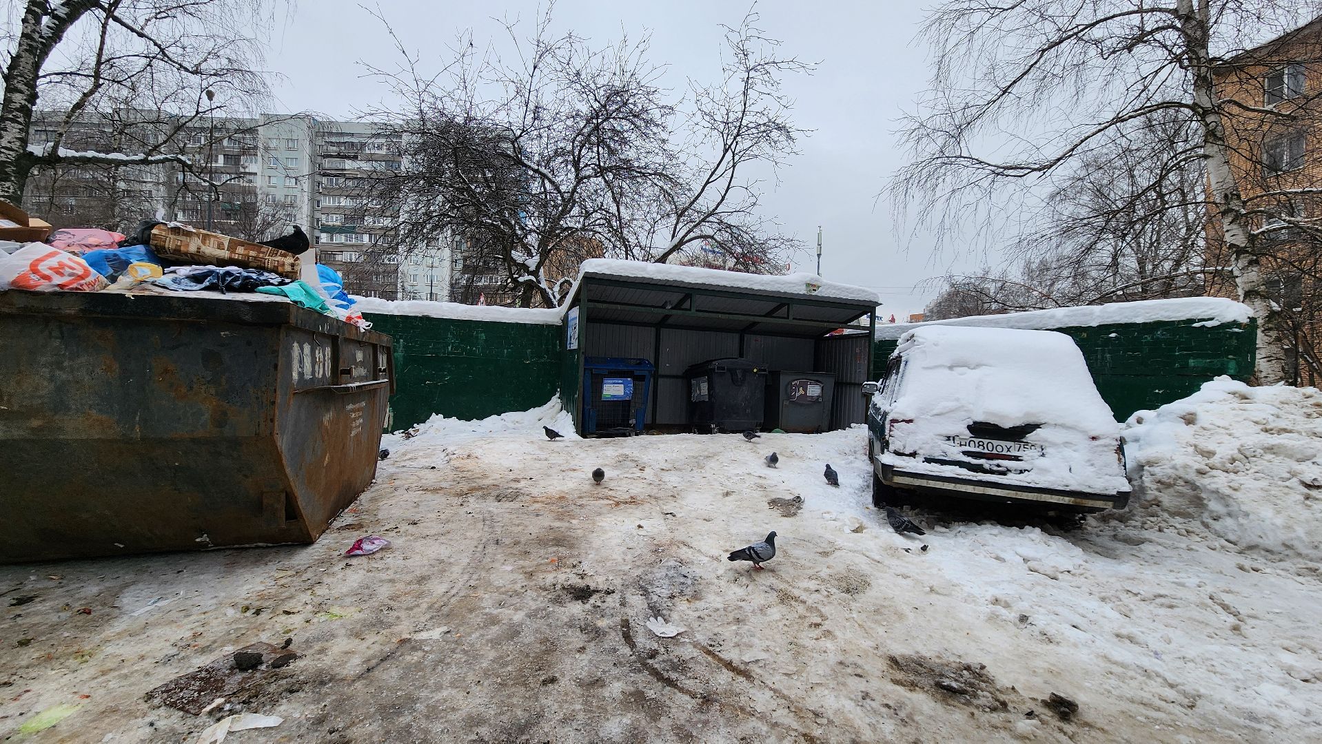 Одинцово, Жкх, Тко, Мусор, контейнер, контейнерная площадка,