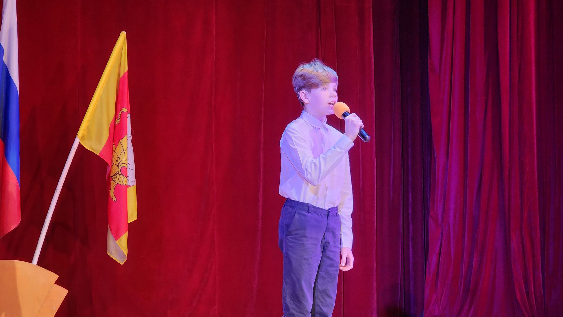 Егорьевск, Подмосковье, Московская область, Конкурс, пегас,