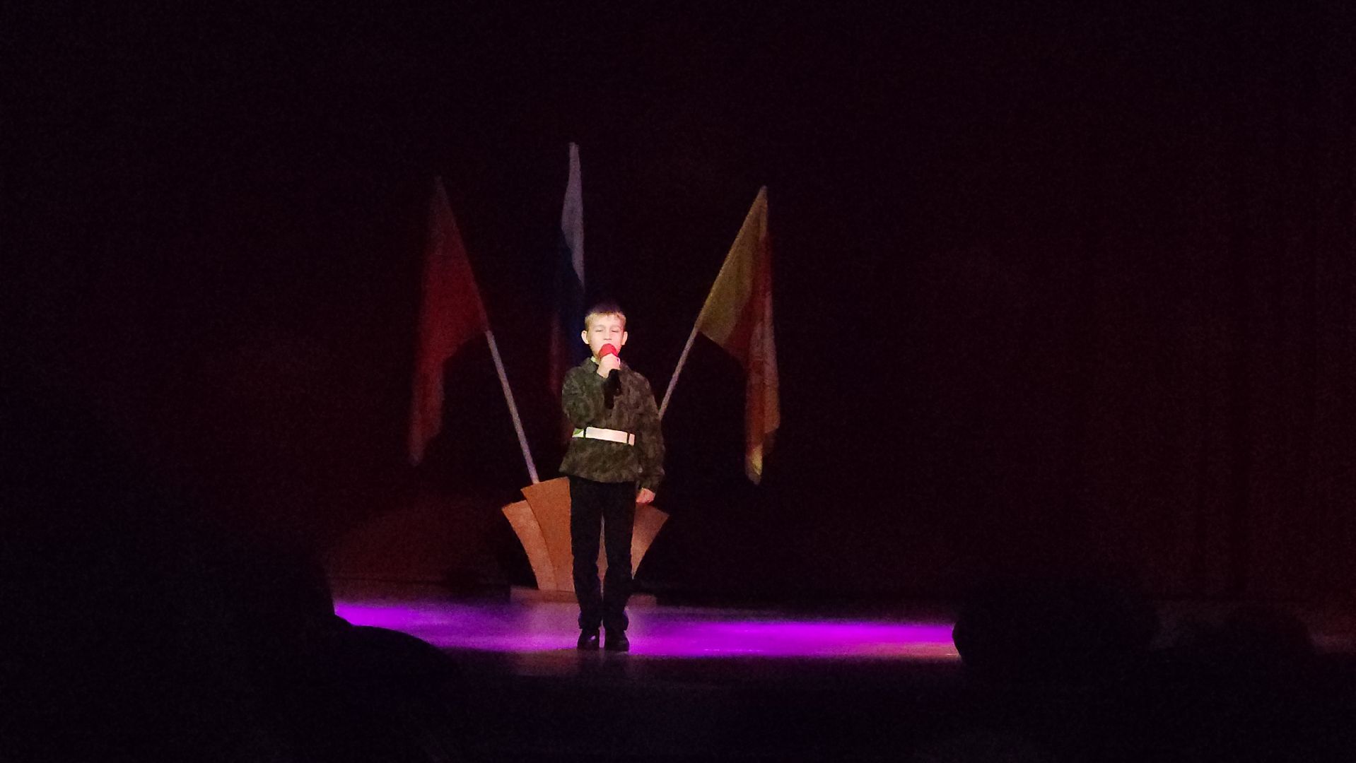 Егорьевск, Подмосковье, Московская область, Конкурс, пегас,