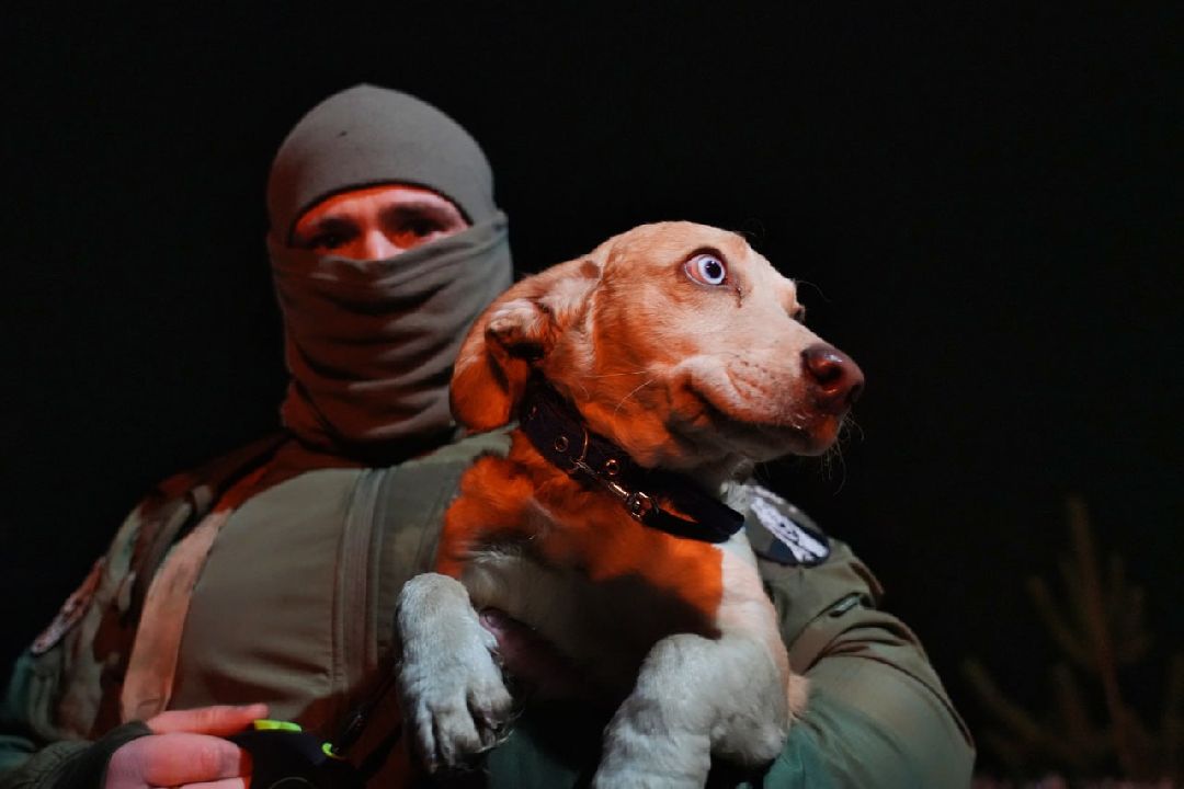 Сергиев Посад, Сергиево-Посадский городской округ, Пересвет, СВО, Специальная военная операция, ОМОН