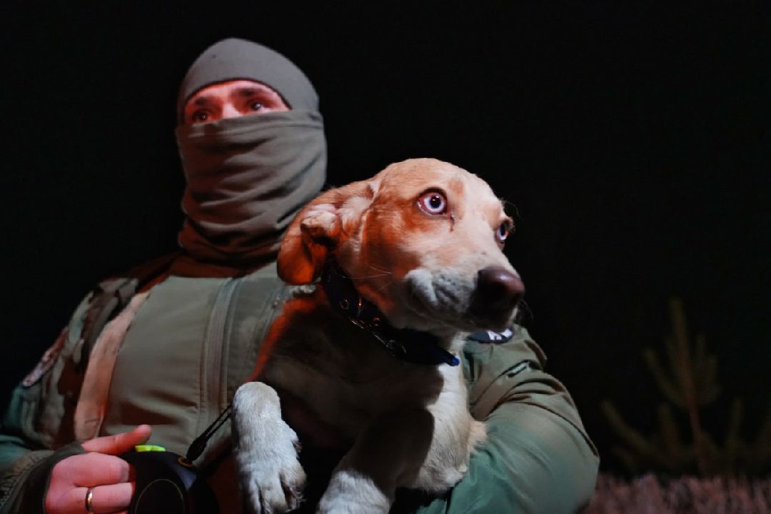 Сергиев Посад, Сергиево-Посадский городской округ, Пересвет, СВО, Специальная военная операция, ОМОН