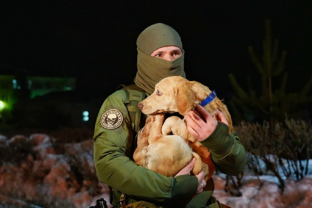 Сергиев Посад, Сергиево-Посадский городской округ, Пересвет, СВО, Специальная военная операция, ОМОН