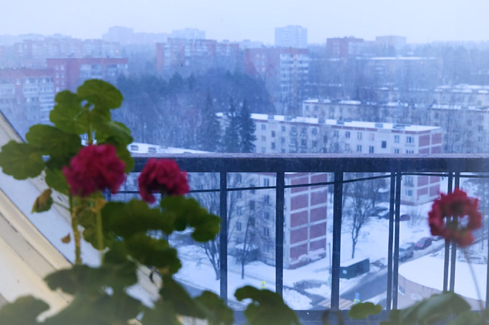 пущино, архитектура, художник, мастерская, туризм, туризм в подмосковье, подмосковье,