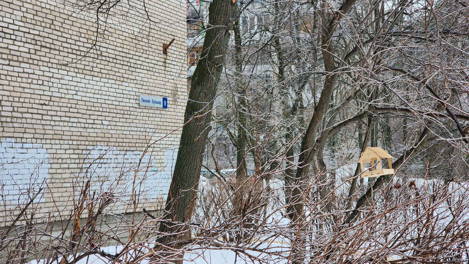 парковка запрещена, работает эвакуатор, знаки запрета парковки, протвино, контейнерная площадка,