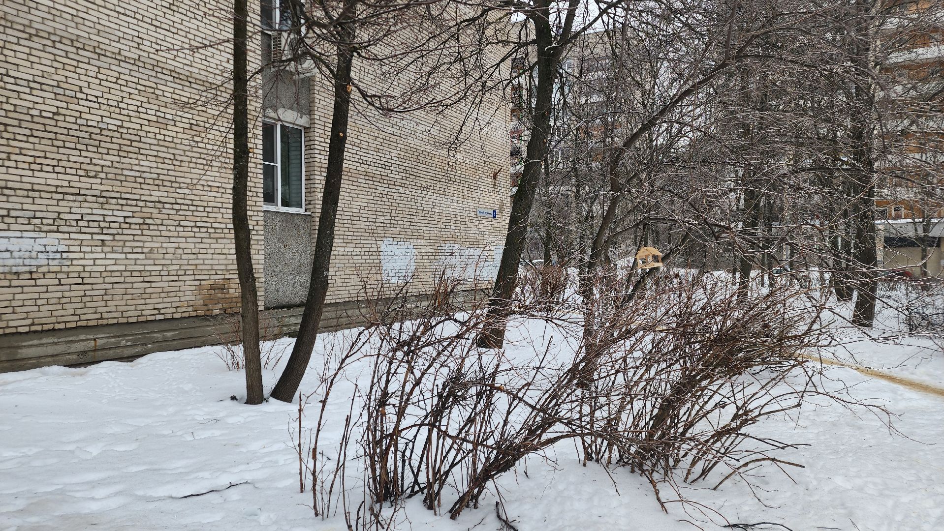 парковка запрещена, работает эвакуатор, знаки запрета парковки, протвино, контейнерная площадка,