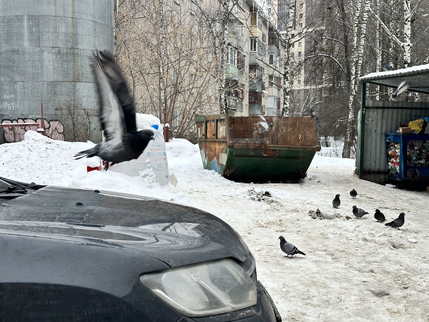 знаки запрета парковки, жкх подмосковья, наро-фоминск,