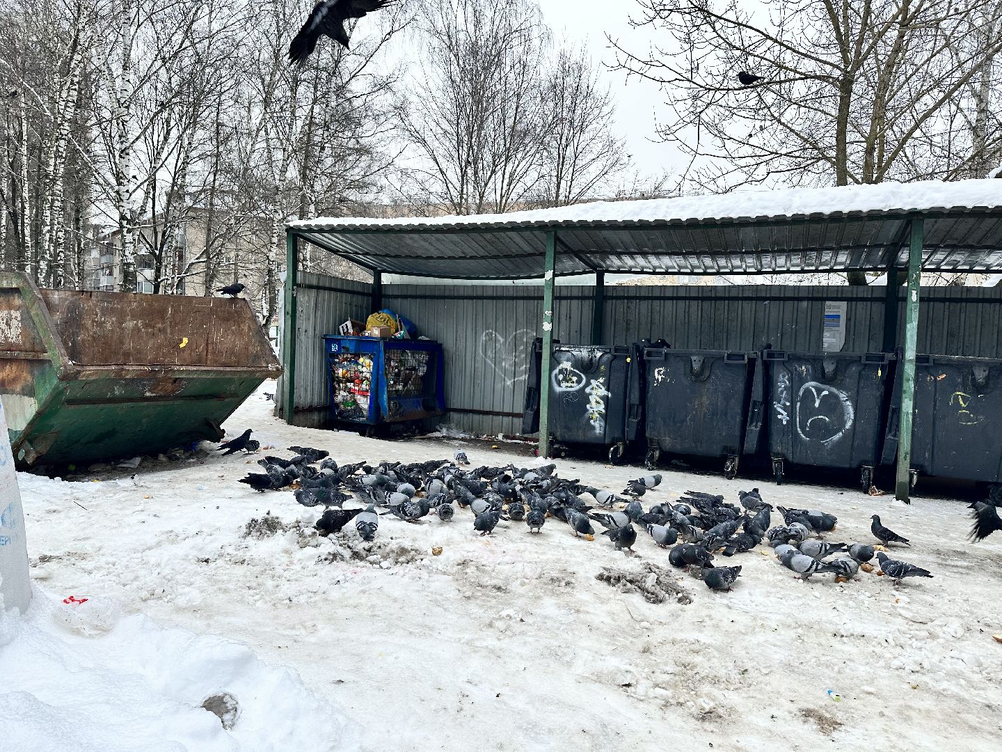 знаки запрета парковки, жкх подмосковья, наро-фоминск,