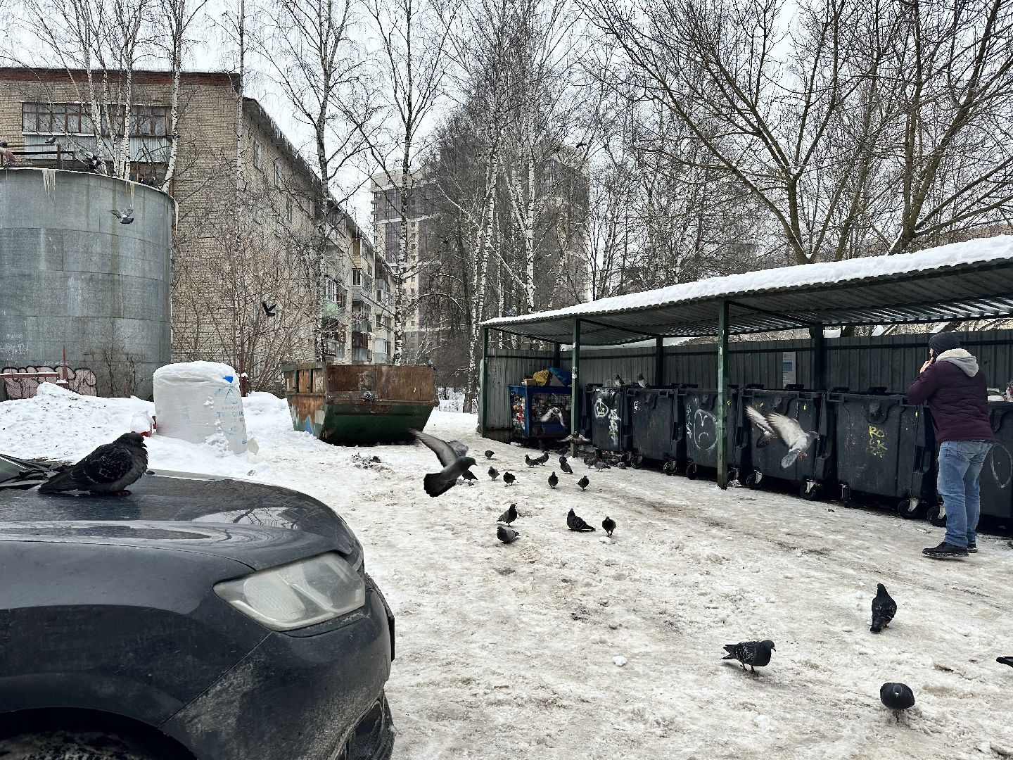 знаки запрета парковки, жкх подмосковья, наро-фоминск,