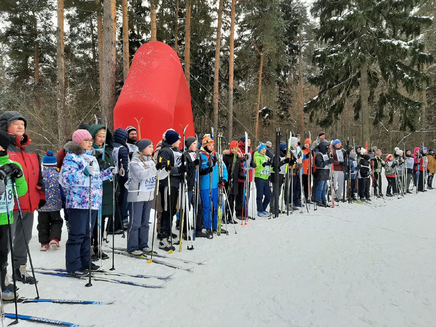 лыжи, лыжня, праздник лыж, Александрин, парк, соревнования,