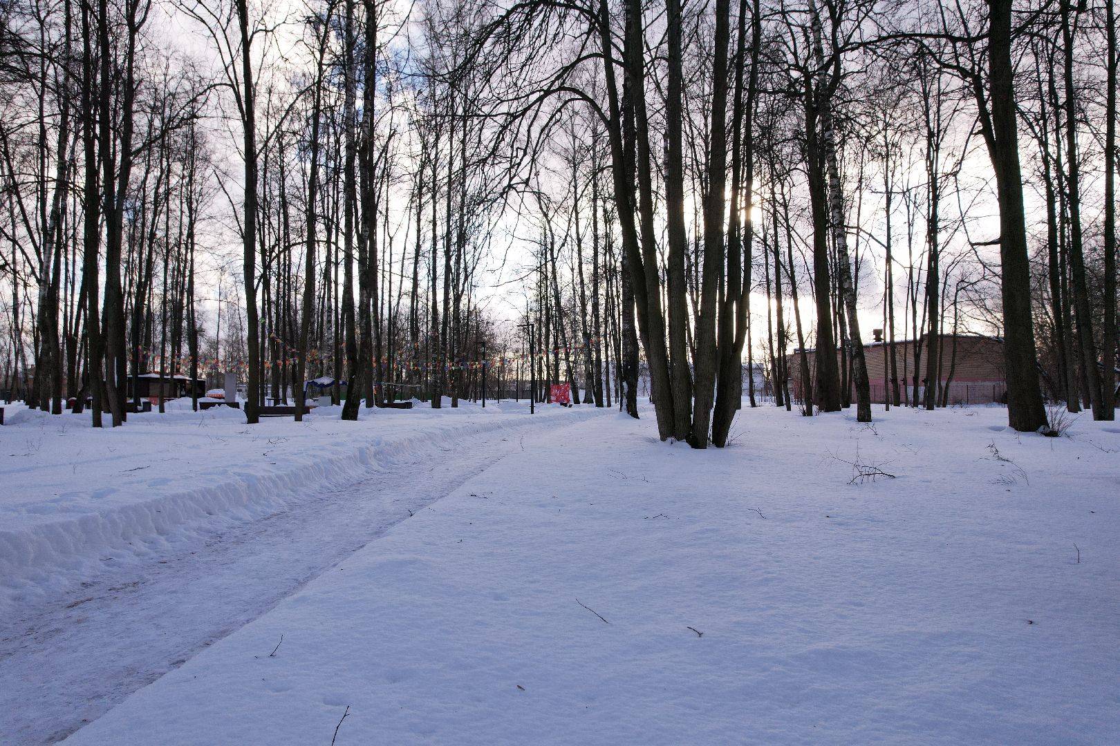 видео с коптера, парк,