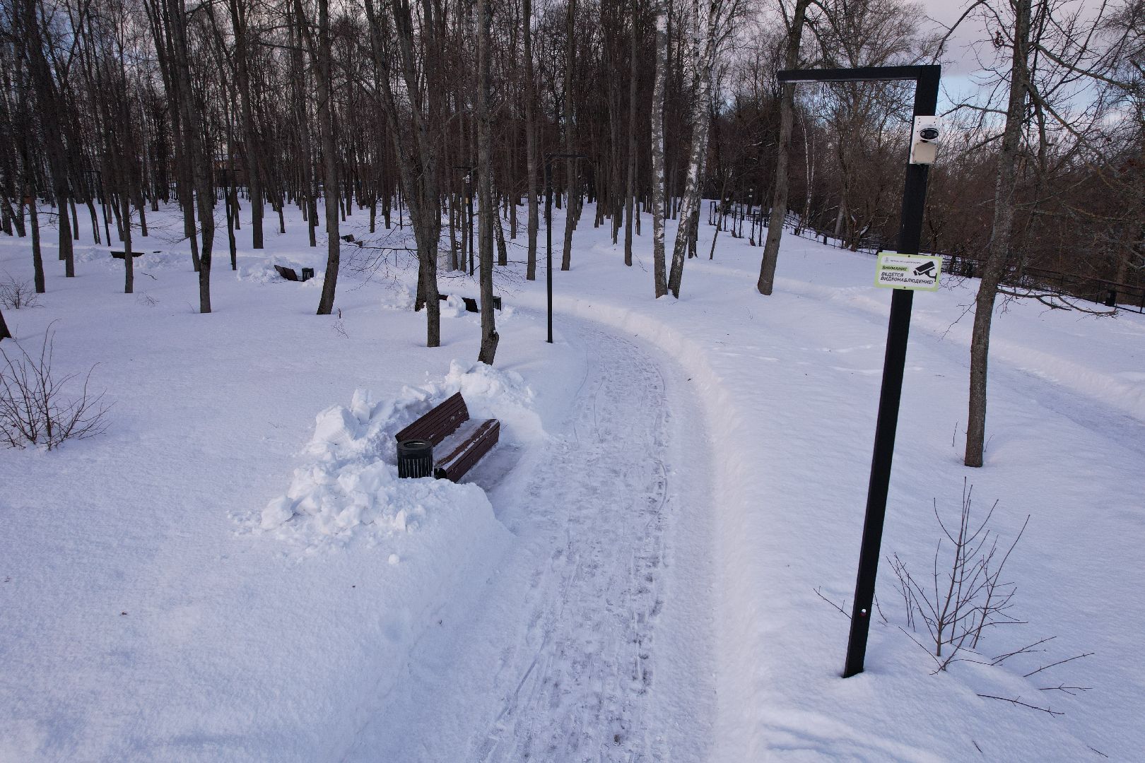 видео с коптера, парк,