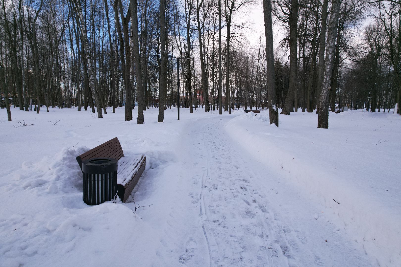 видео с коптера, парк,