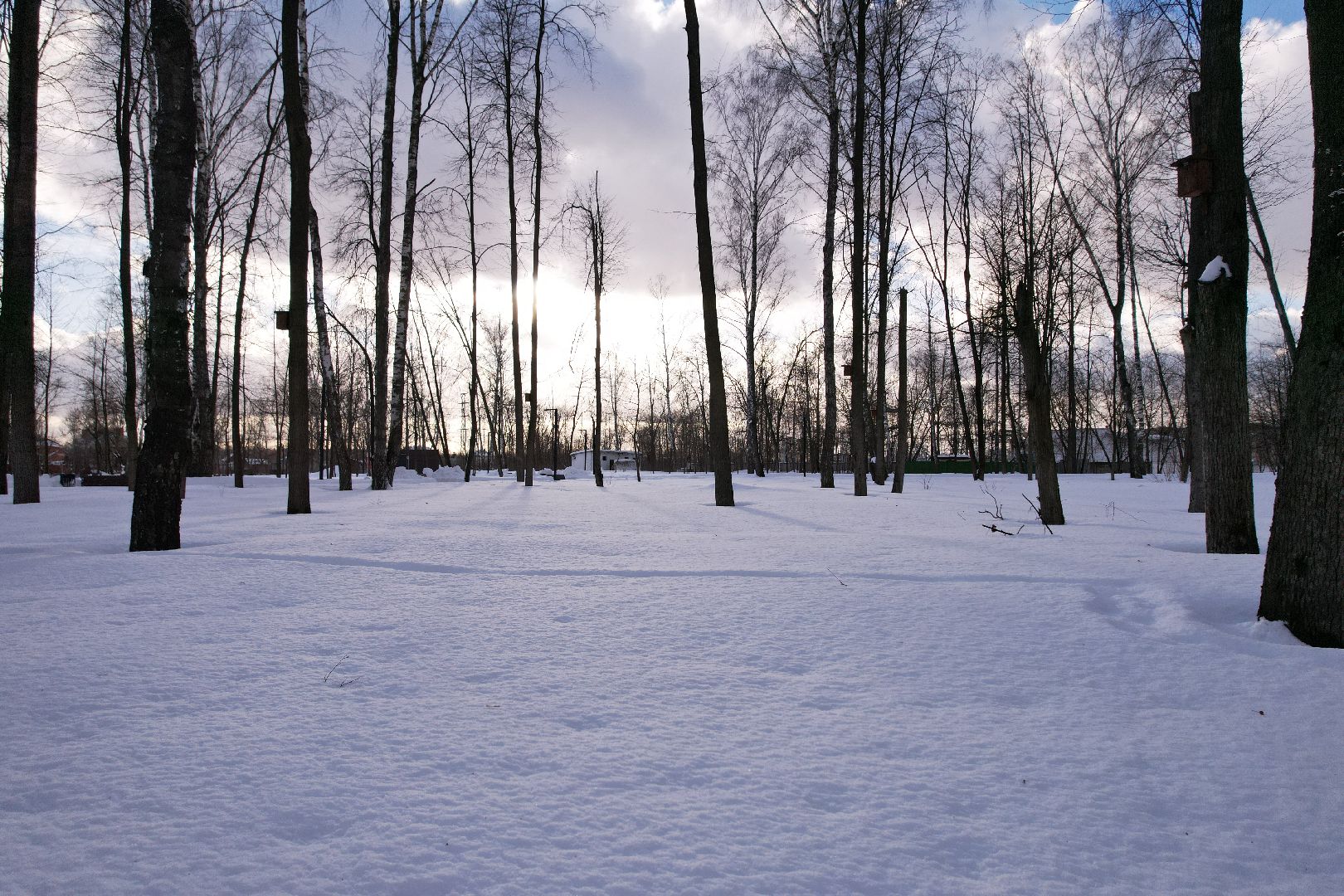видео с коптера, парк,